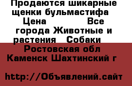 Продаются шикарные щенки бульмастифа › Цена ­ 45 000 - Все города Животные и растения » Собаки   . Ростовская обл.,Каменск-Шахтинский г.